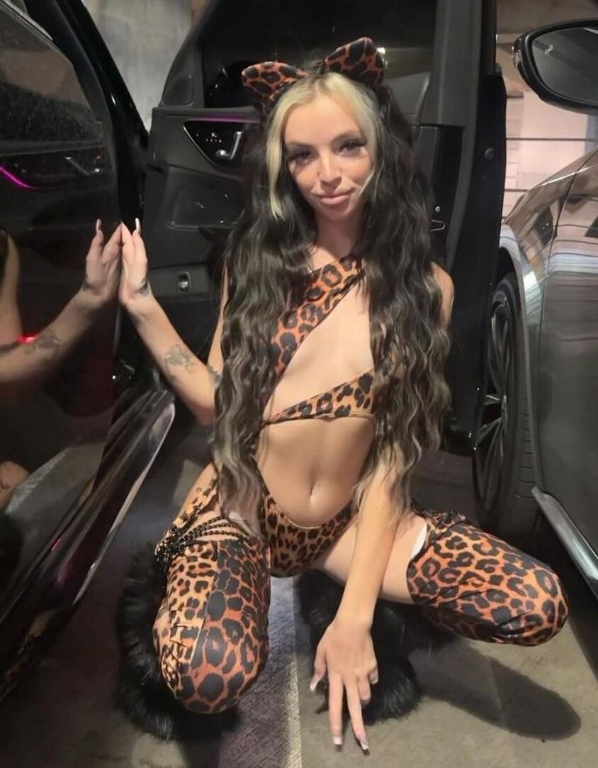 Costume Sluts, Animal Print 1.