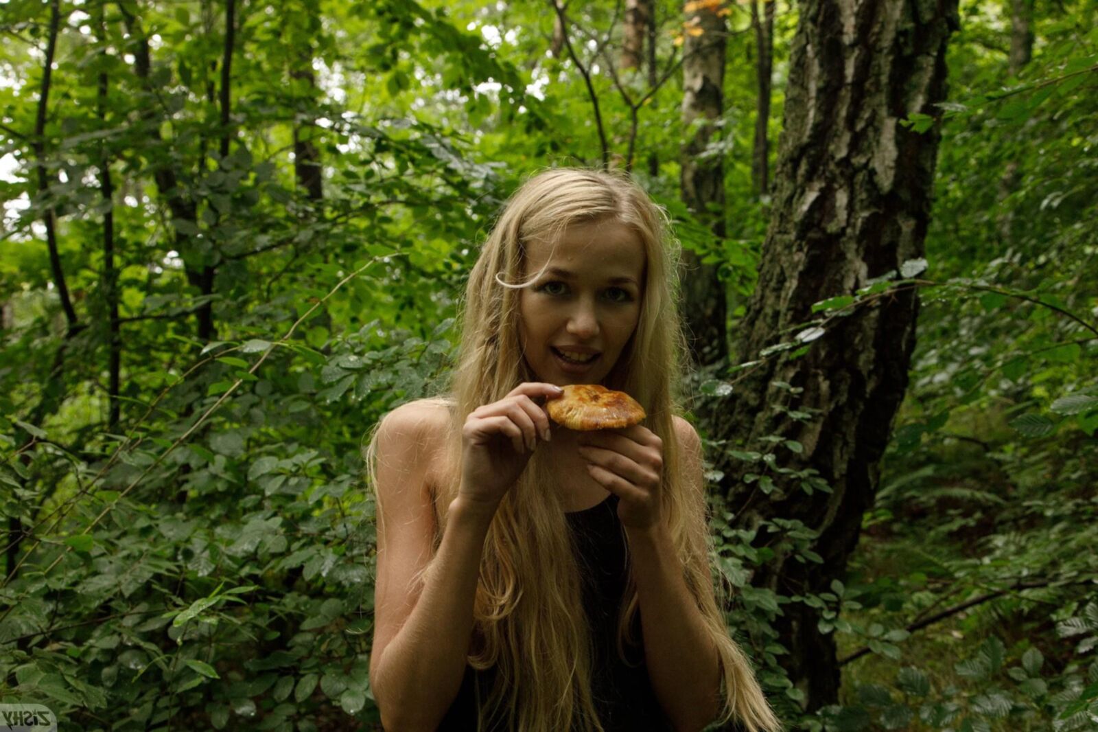  vlada romashina mushroom hunting