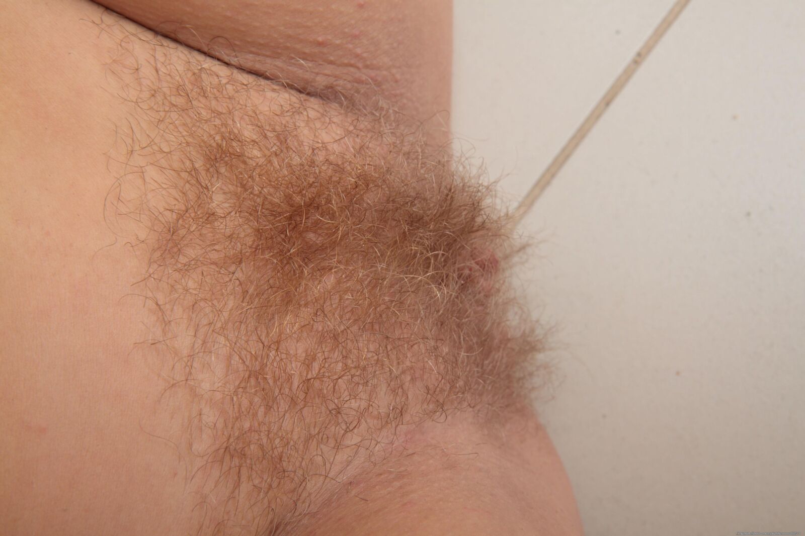 Hairy 