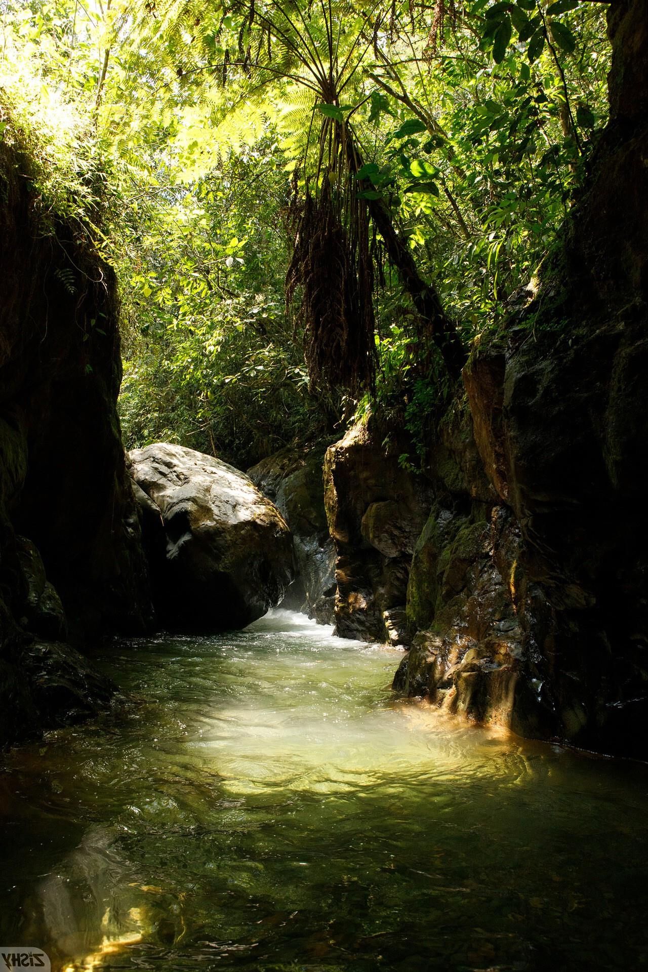  ileana burgos amoeba falls