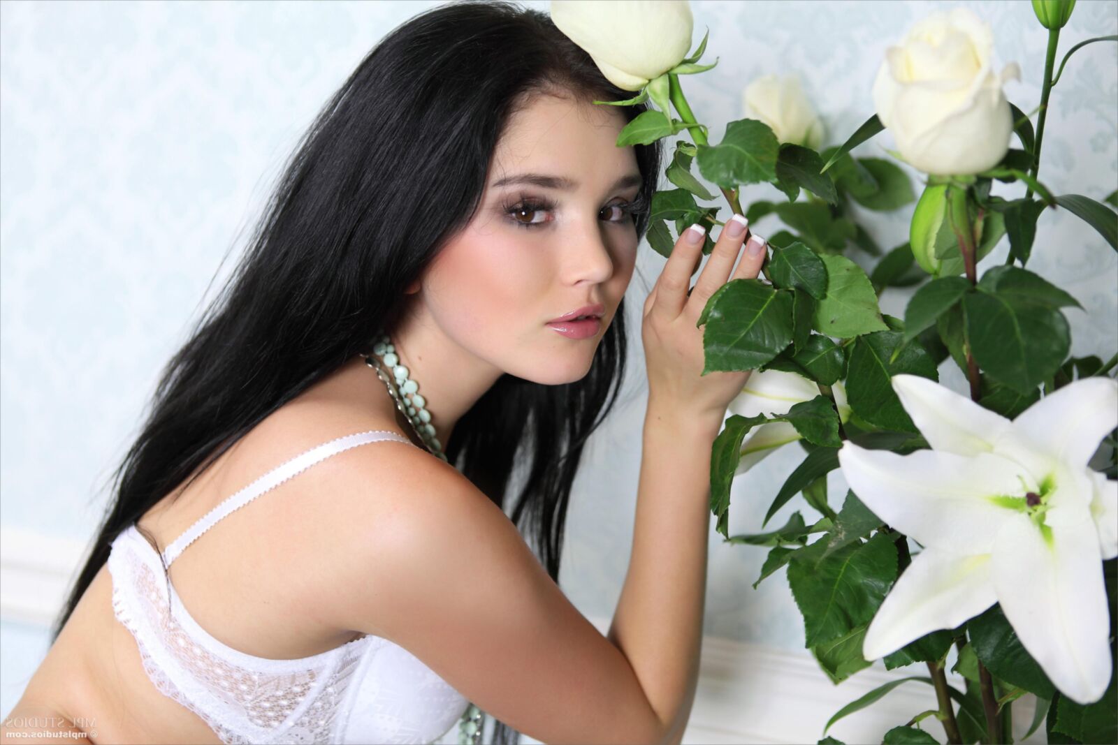 Malena F White Rose