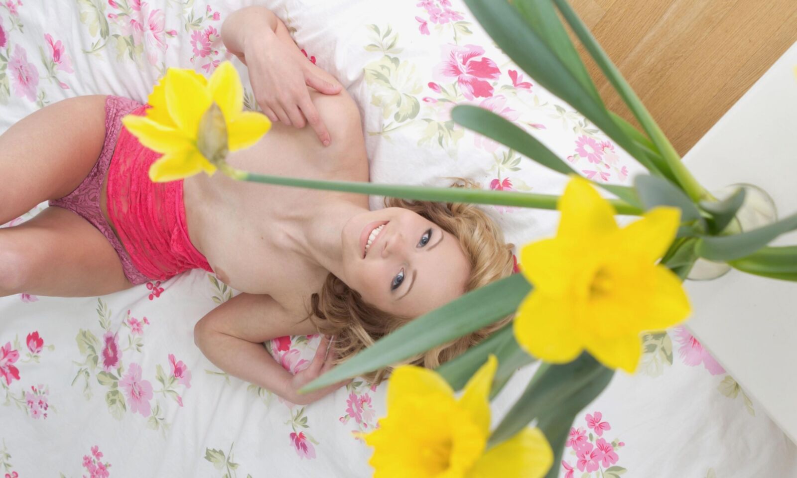 Teen ava k daffodil (Schablienkönigin)