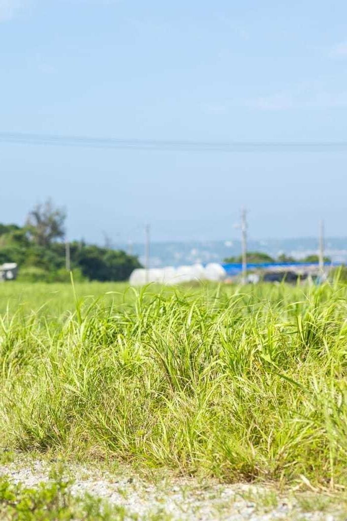 Airi Suzumura Photobook Okinawa Photo No.