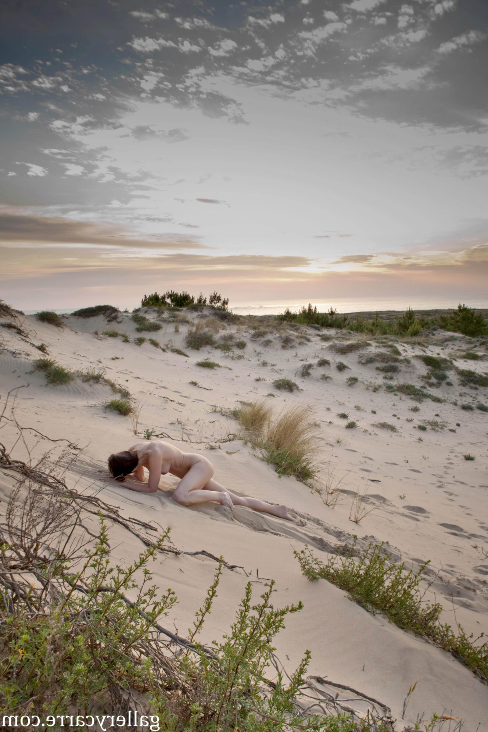 Moreystudio diana dunes x