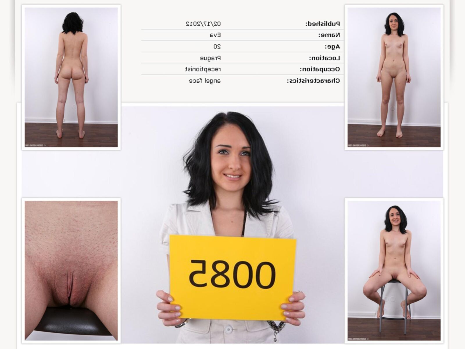 . Prazsky katalog sladkych samic