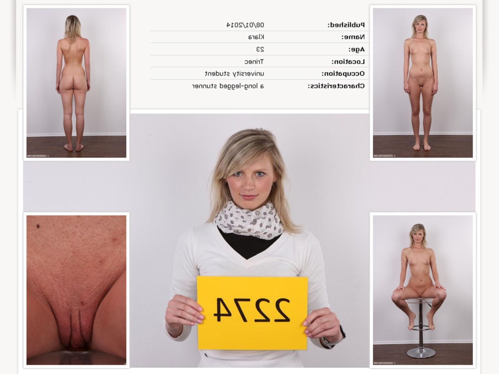. Prazsky katalog sladkych samic
