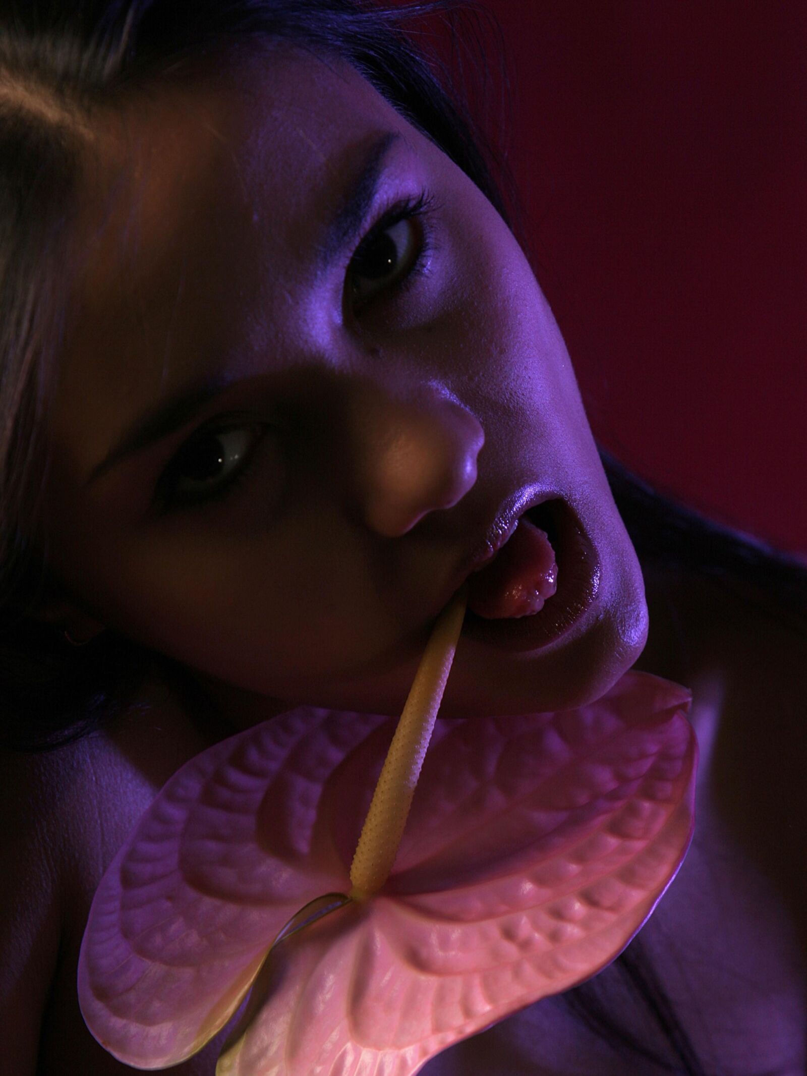 Jeune fleur de flamant star du porno nanna