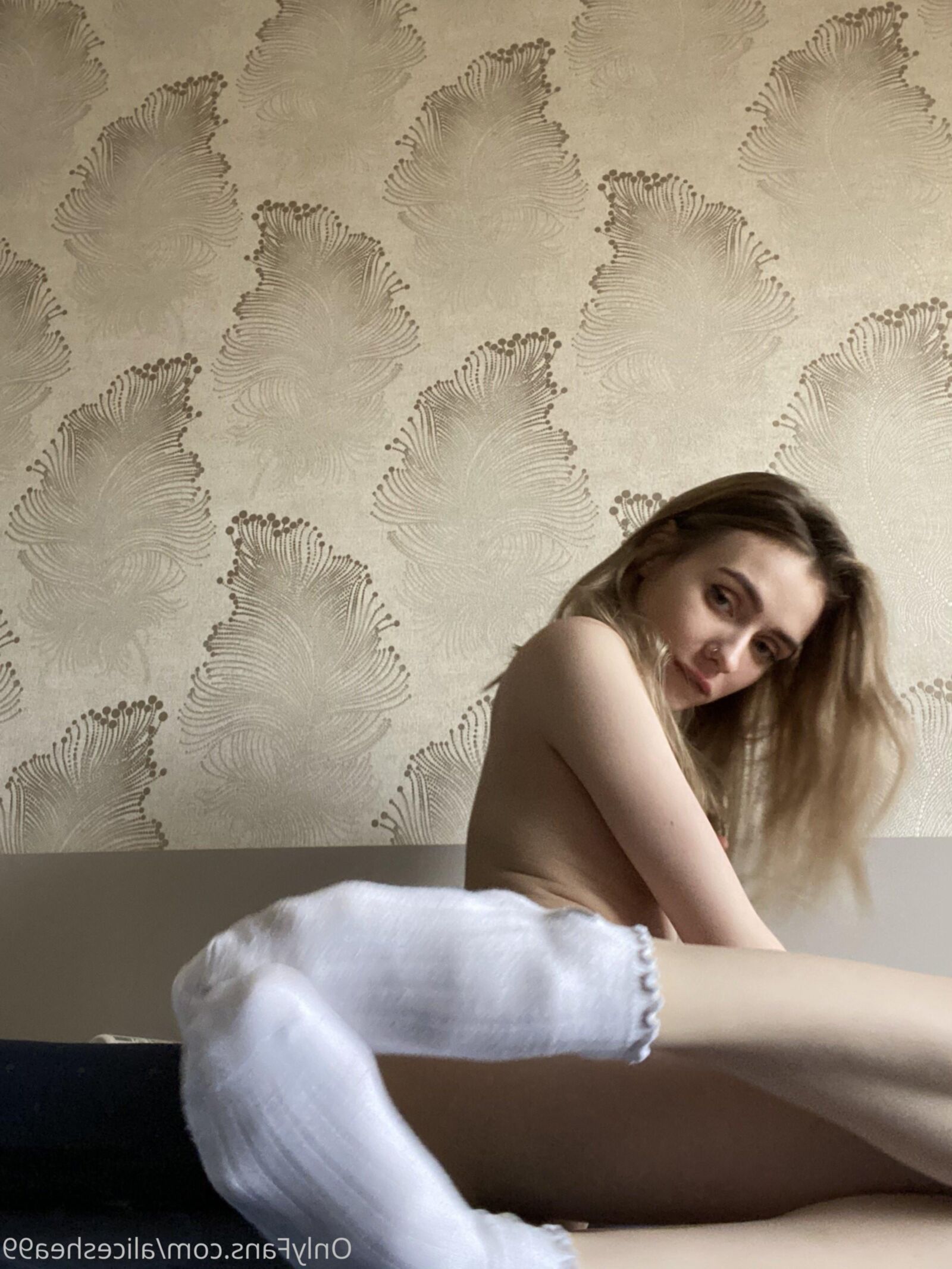 Alice Shea