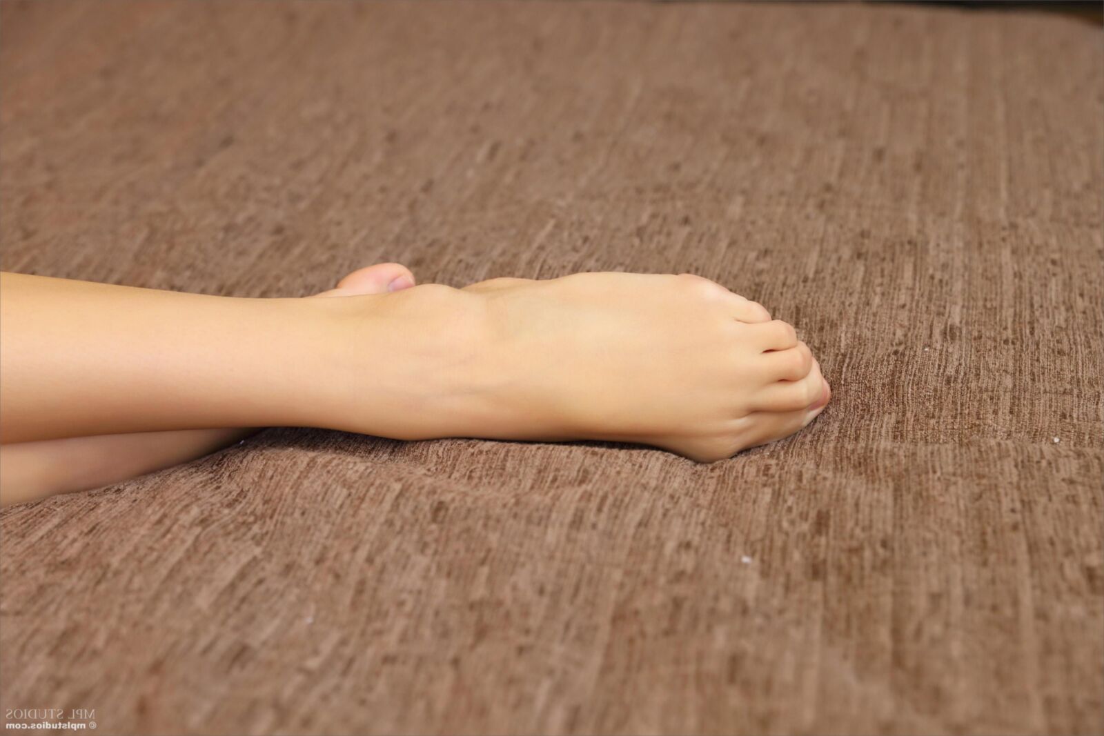 エルは家に帰る