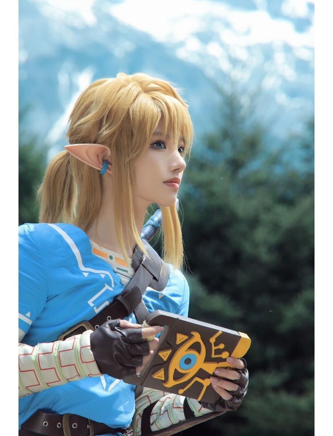 Legend of Zelda 