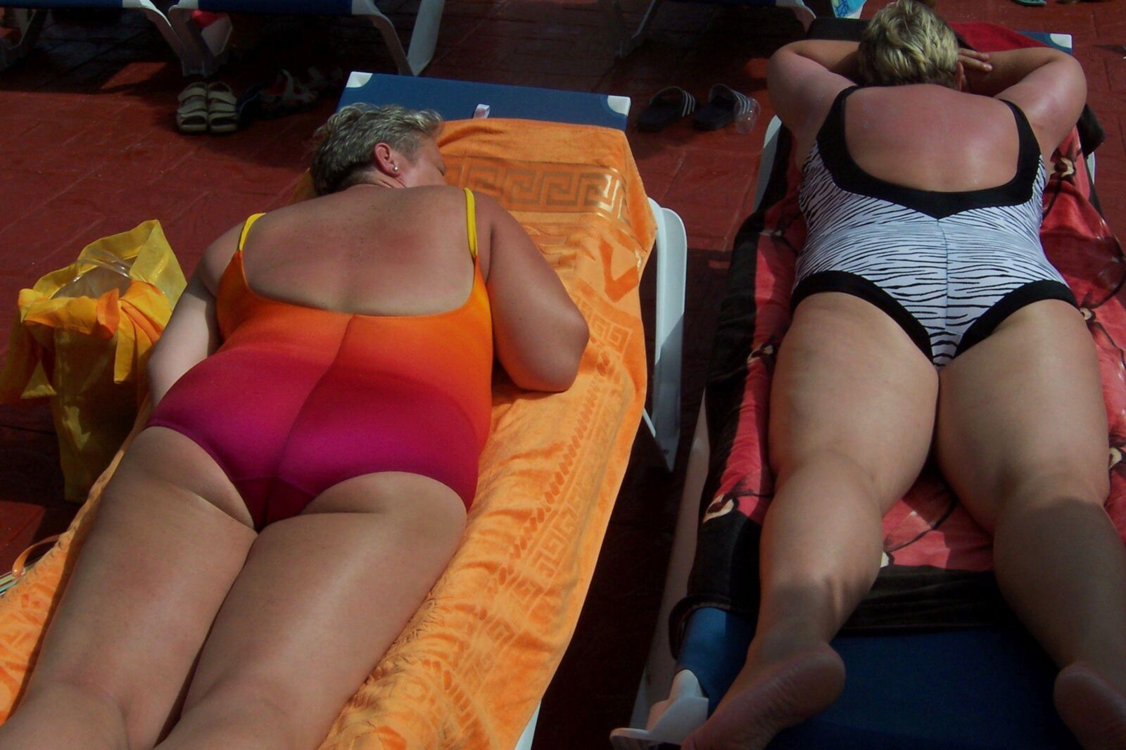 Bonito gilfs descansando junto a la piscina