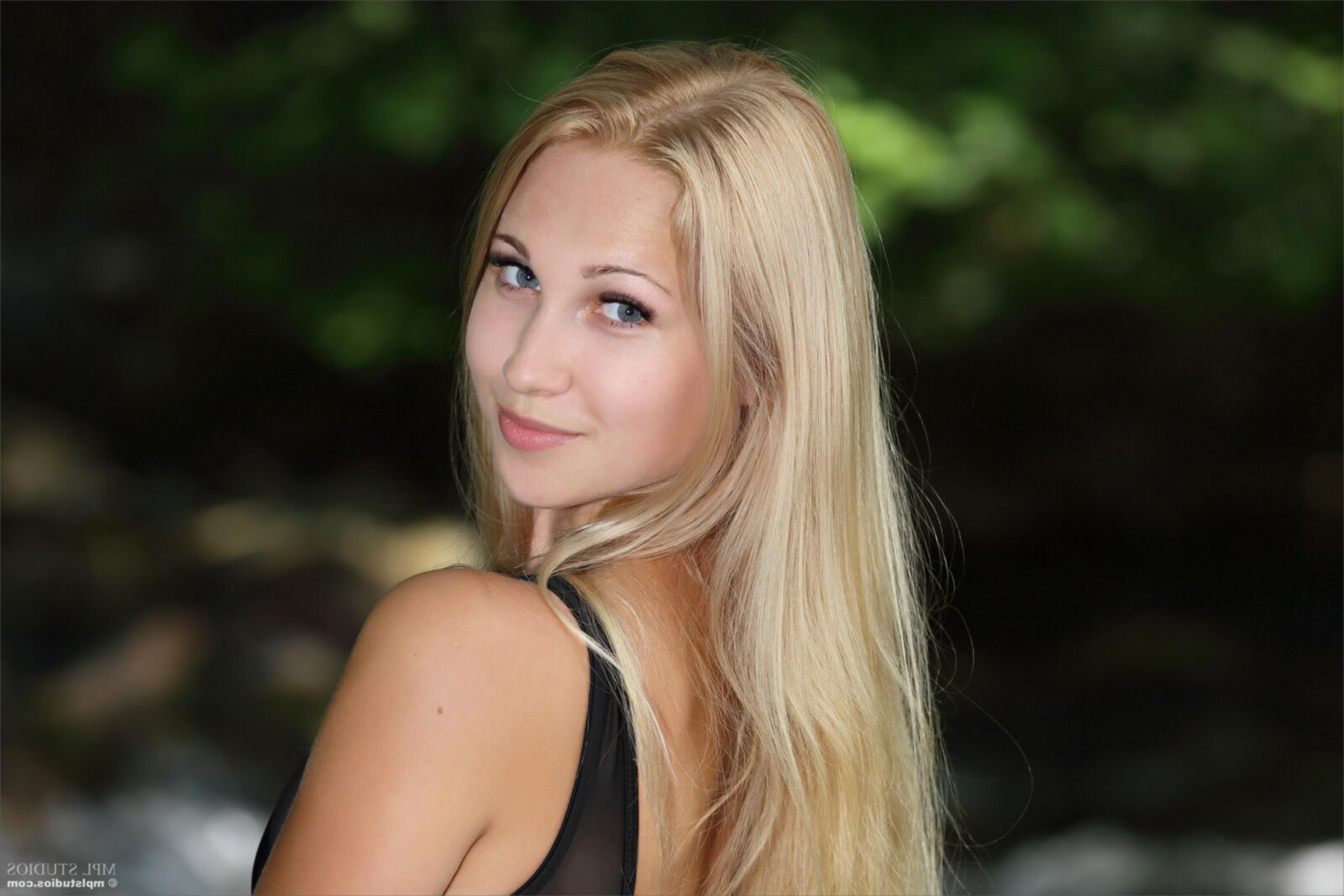 Belonika Splendid