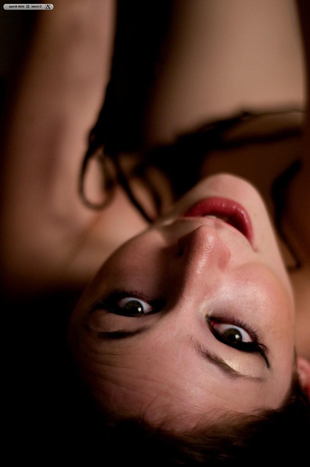 Zivity Cricket Meow (x)