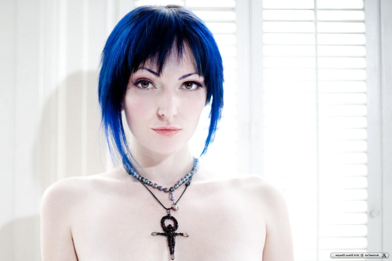 Zivity Animae Todd Anime (x)