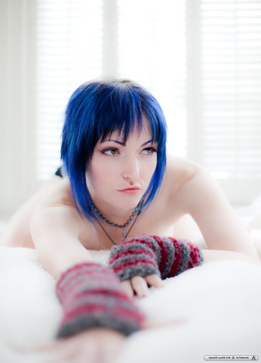 Zivity Animae Todd Anime (x)