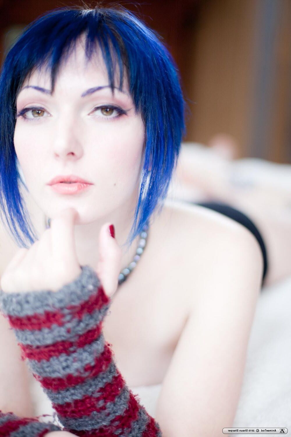 Zivity Animae Todd Anime (x)