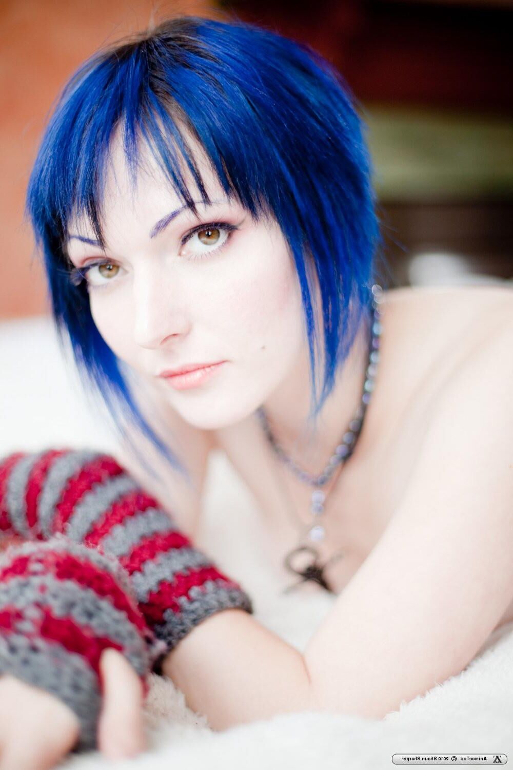 Zivity Animae Todd Anime (x)