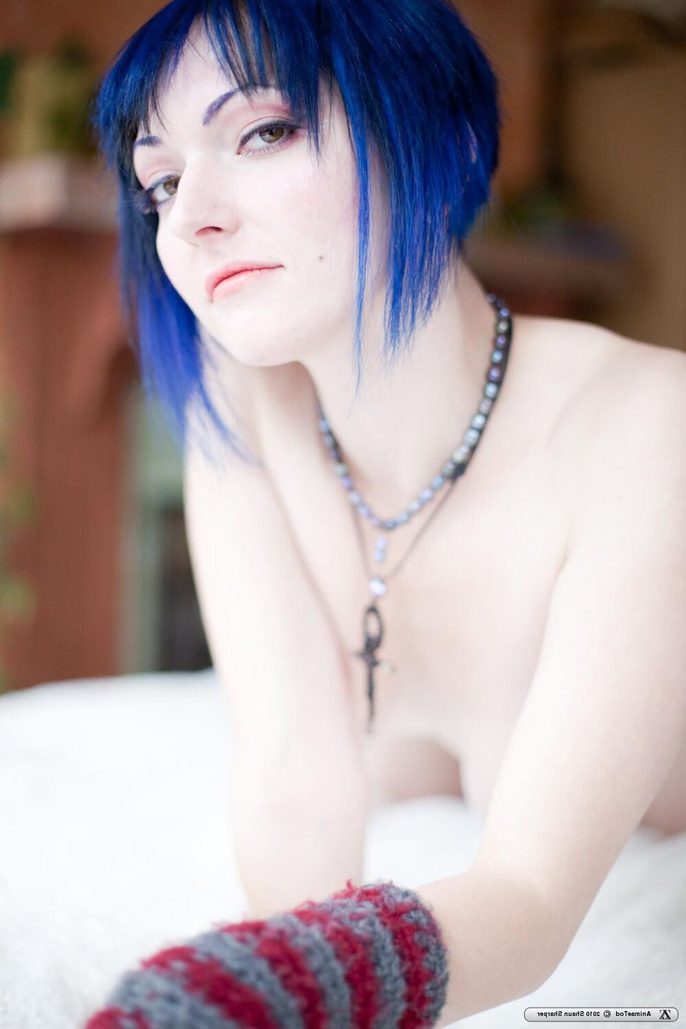Zivity Animae Todd Anime (x)
