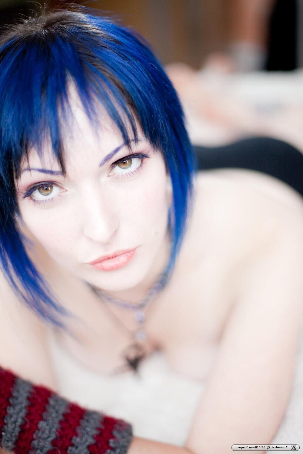 Zivity Animae Todd Anime (x)