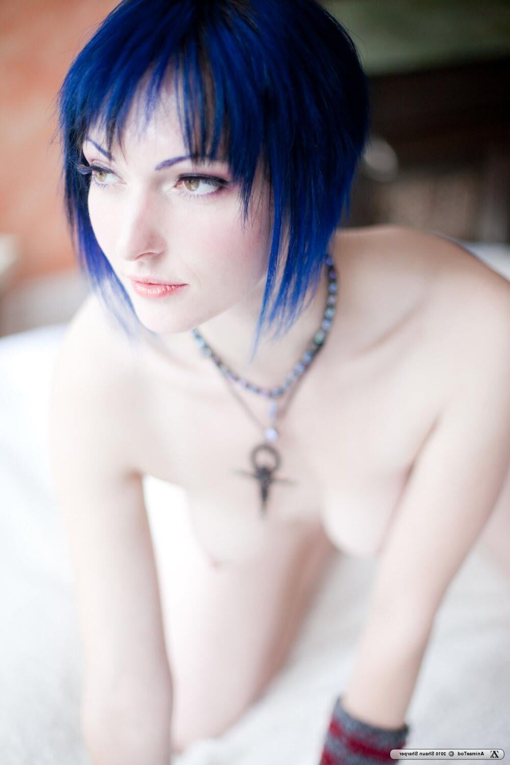 Zivity Animae Todd Anime (x)