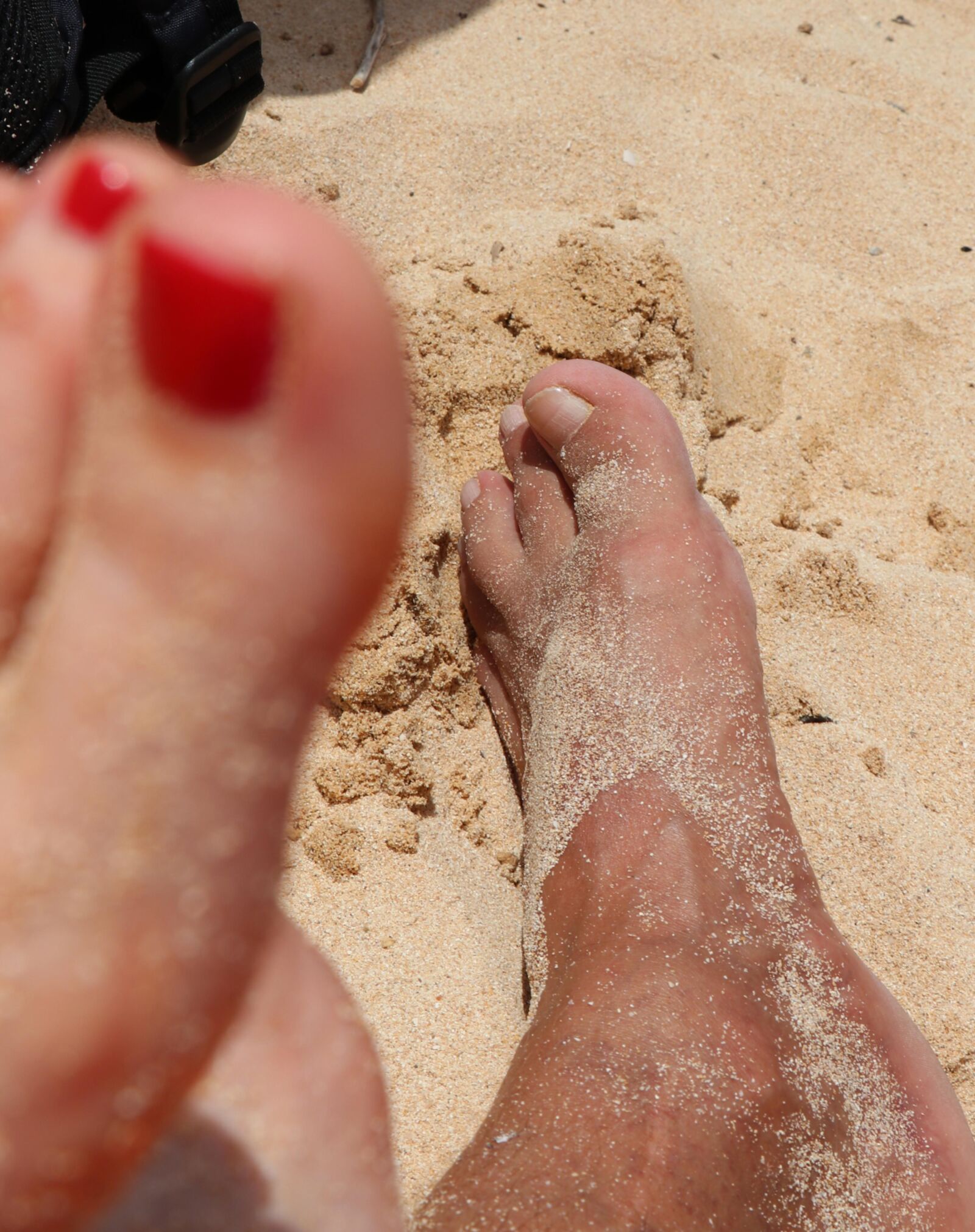 Beach because Janabanana asked