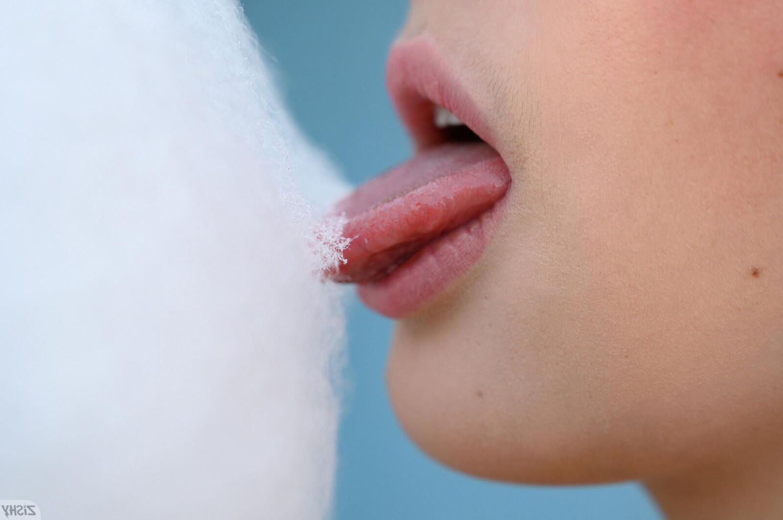  helga amor cotton candies