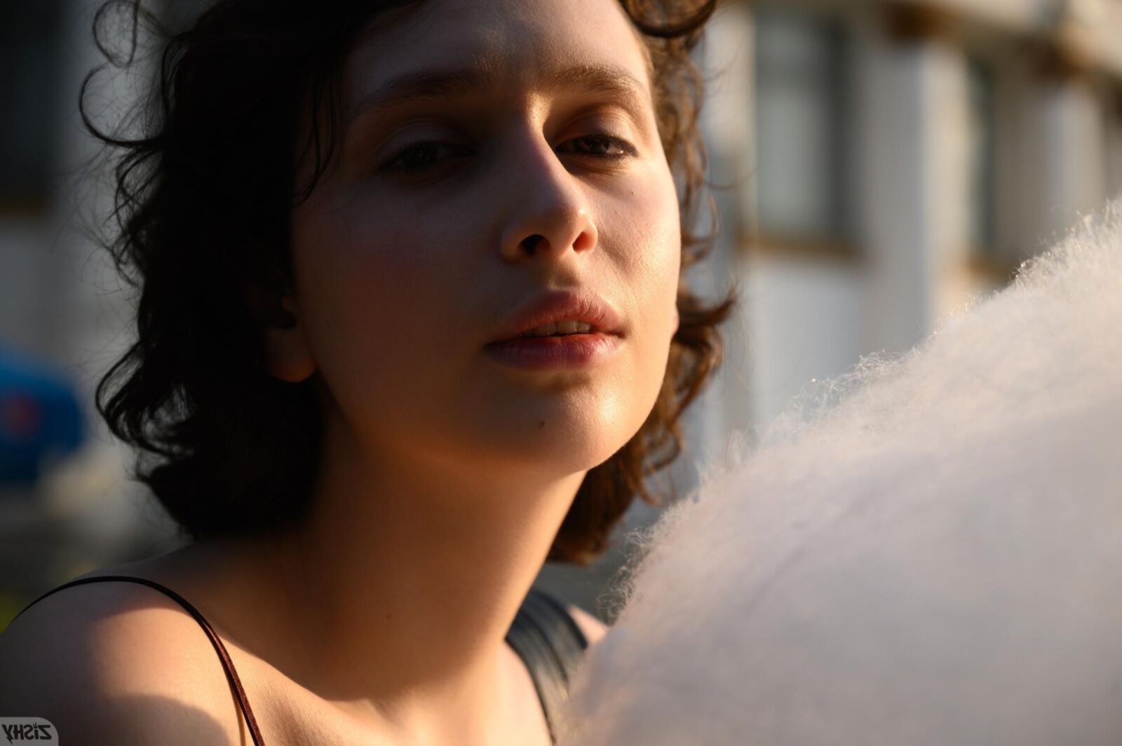  helga amor cotton candies