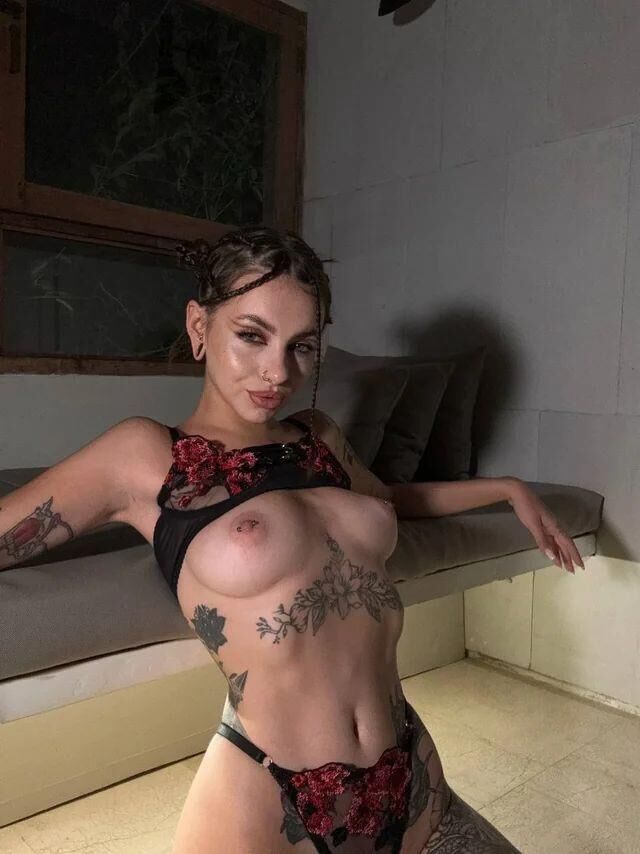 Modelo Vinn