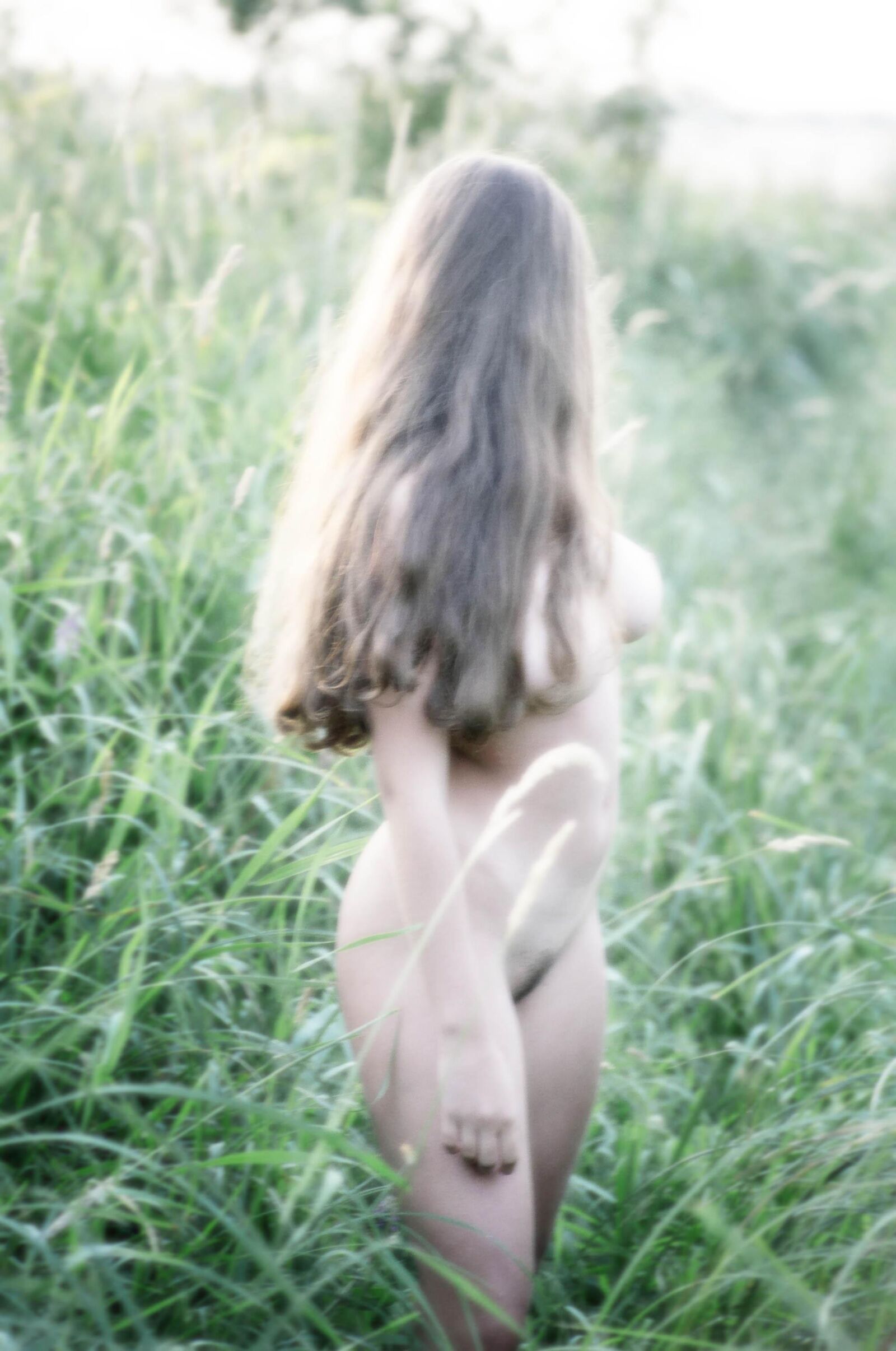 Slastyonoff Aneli Forest   ,