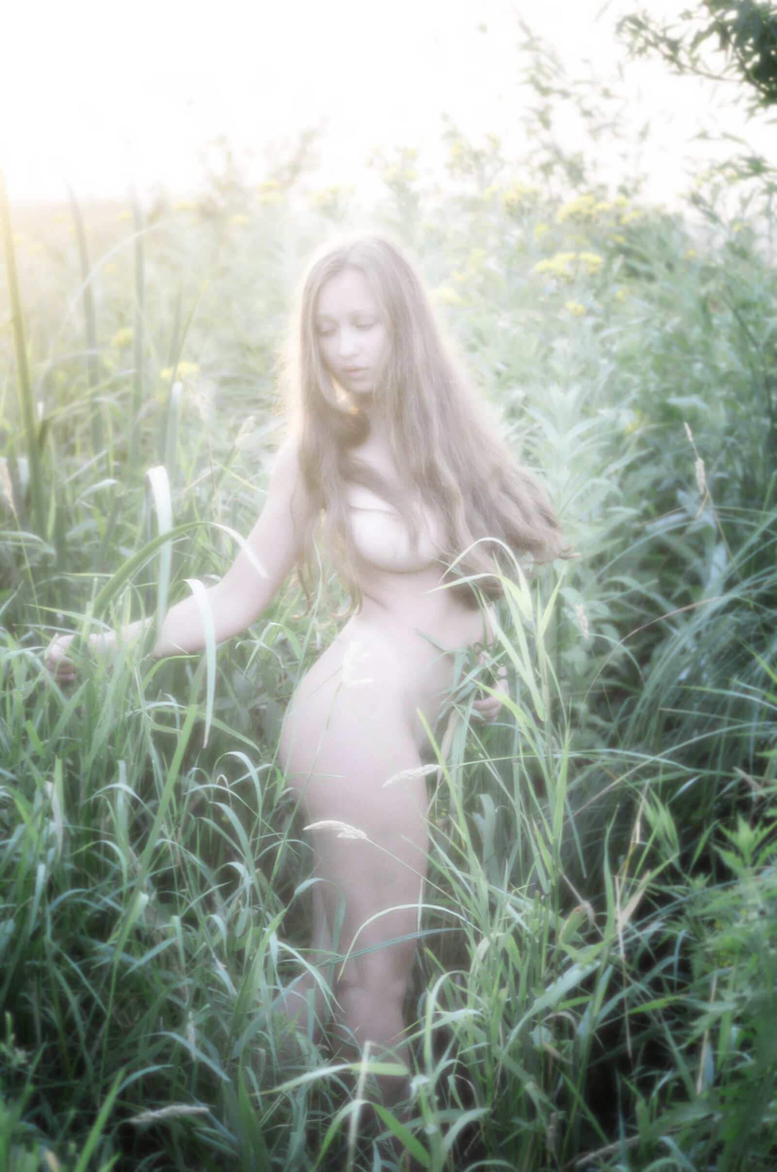 Slastyonoff Aneli Forest   ,