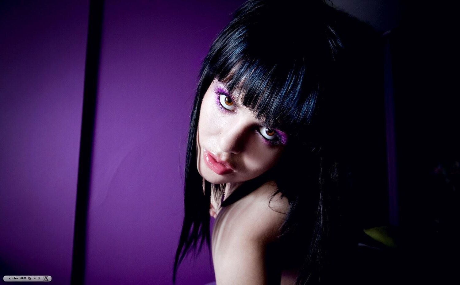 Zivity Griz Violet (x)