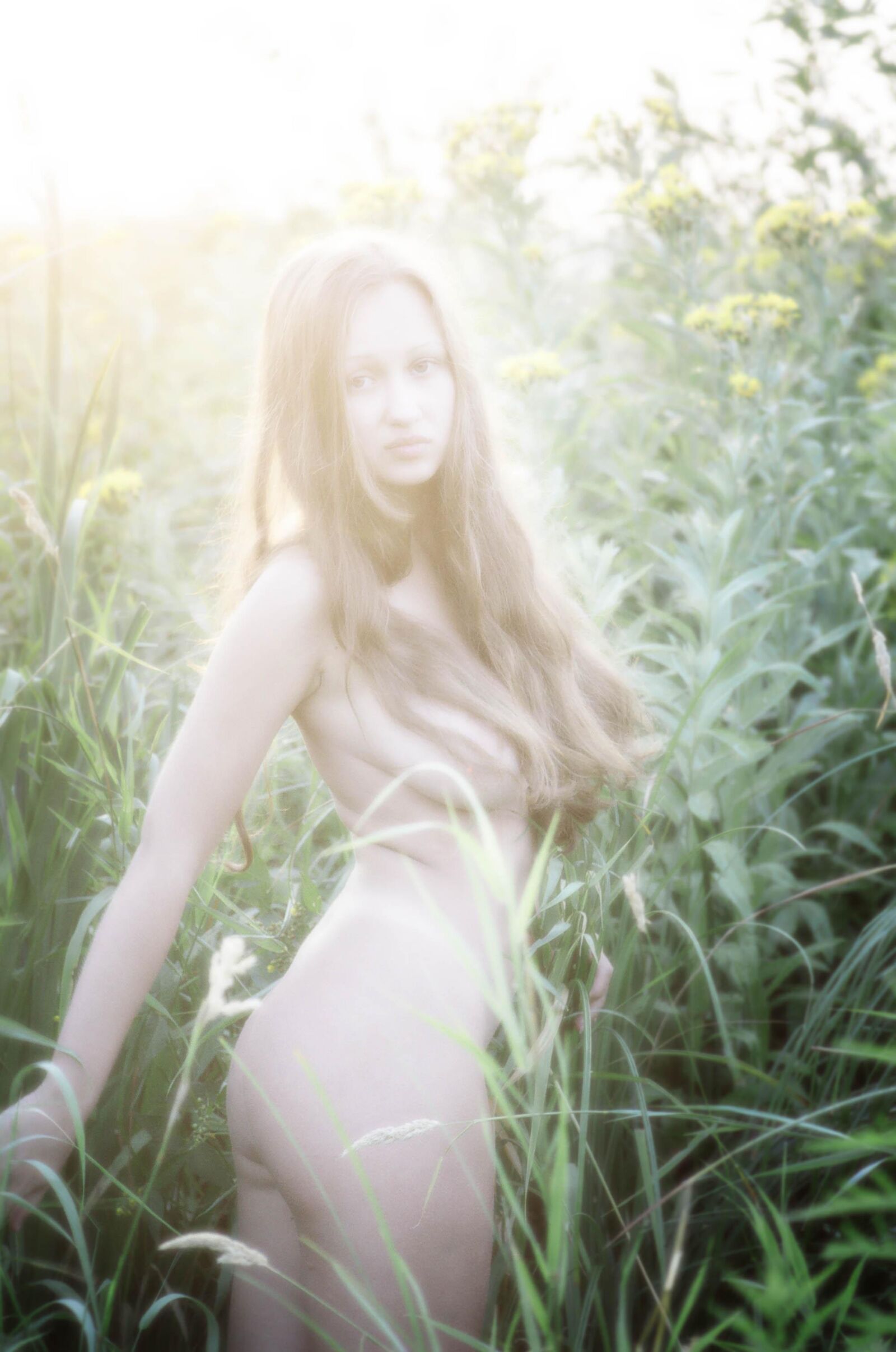 Slastyonoff Aneli Forest   ,