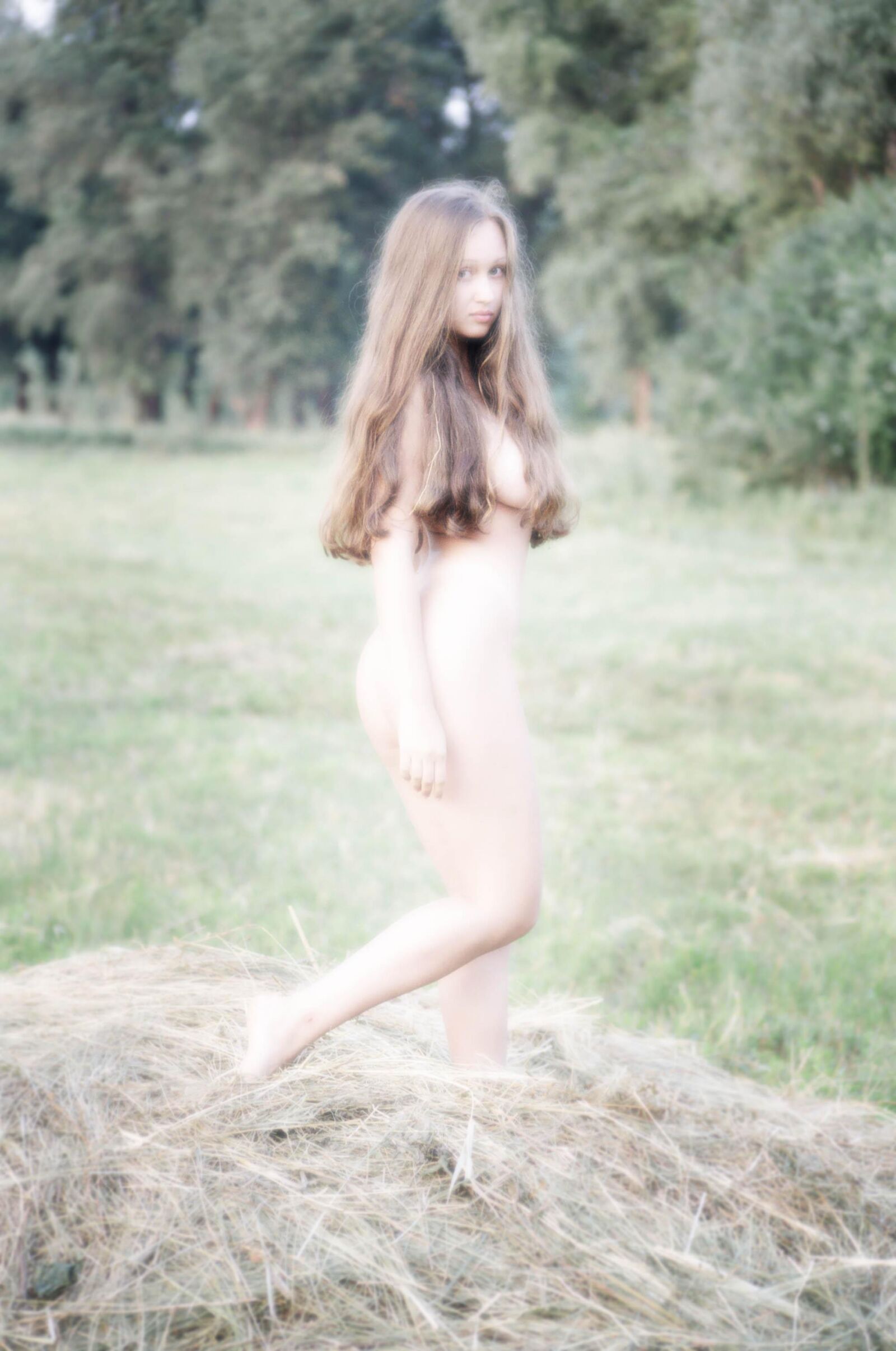 Slastyonoff Aneli Forest   ,