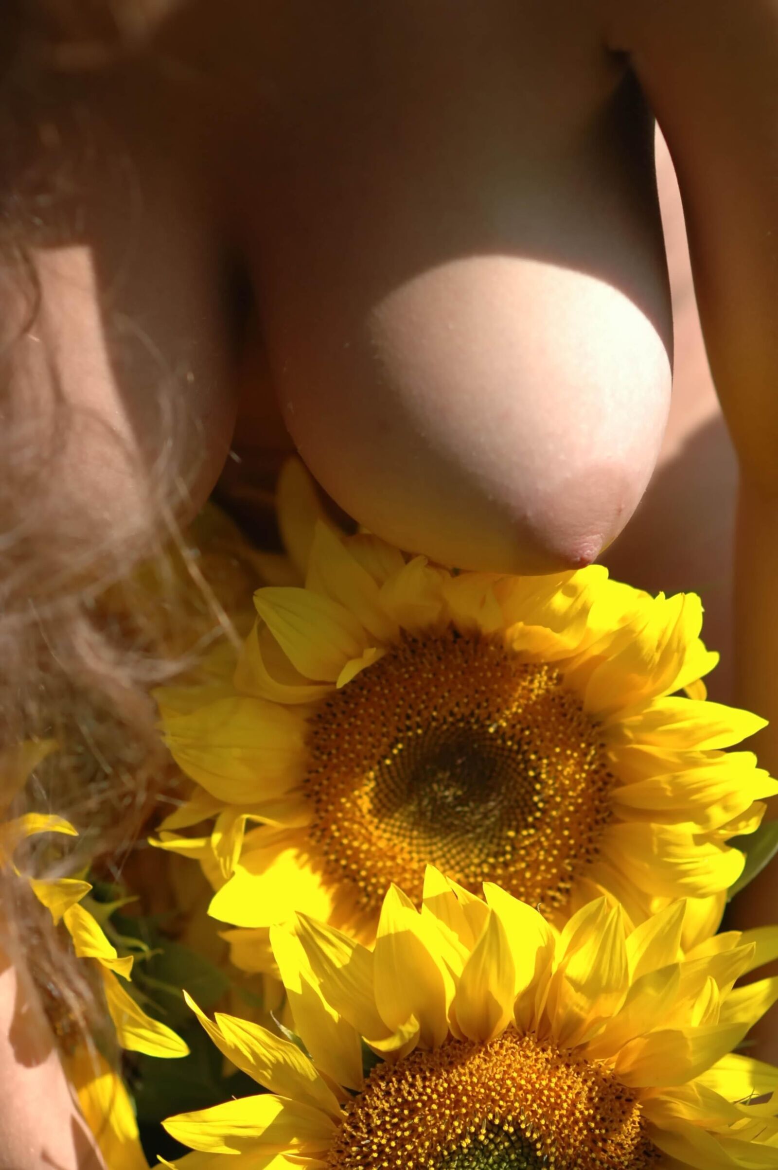 Slastyonoff Aneli Aunflower   ,