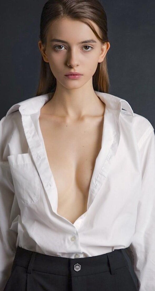 Model Mix 