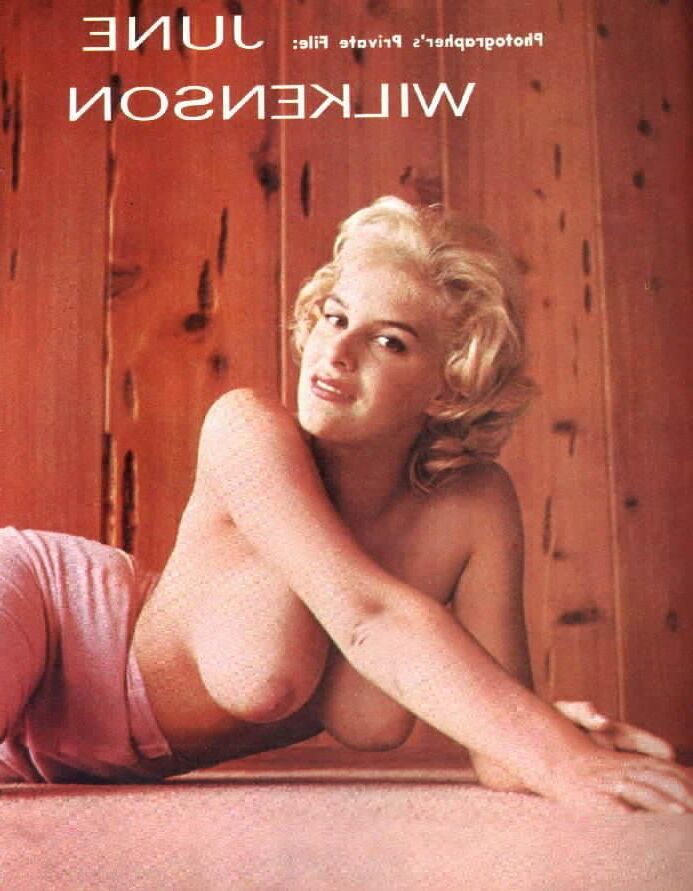 Vintage Tits 