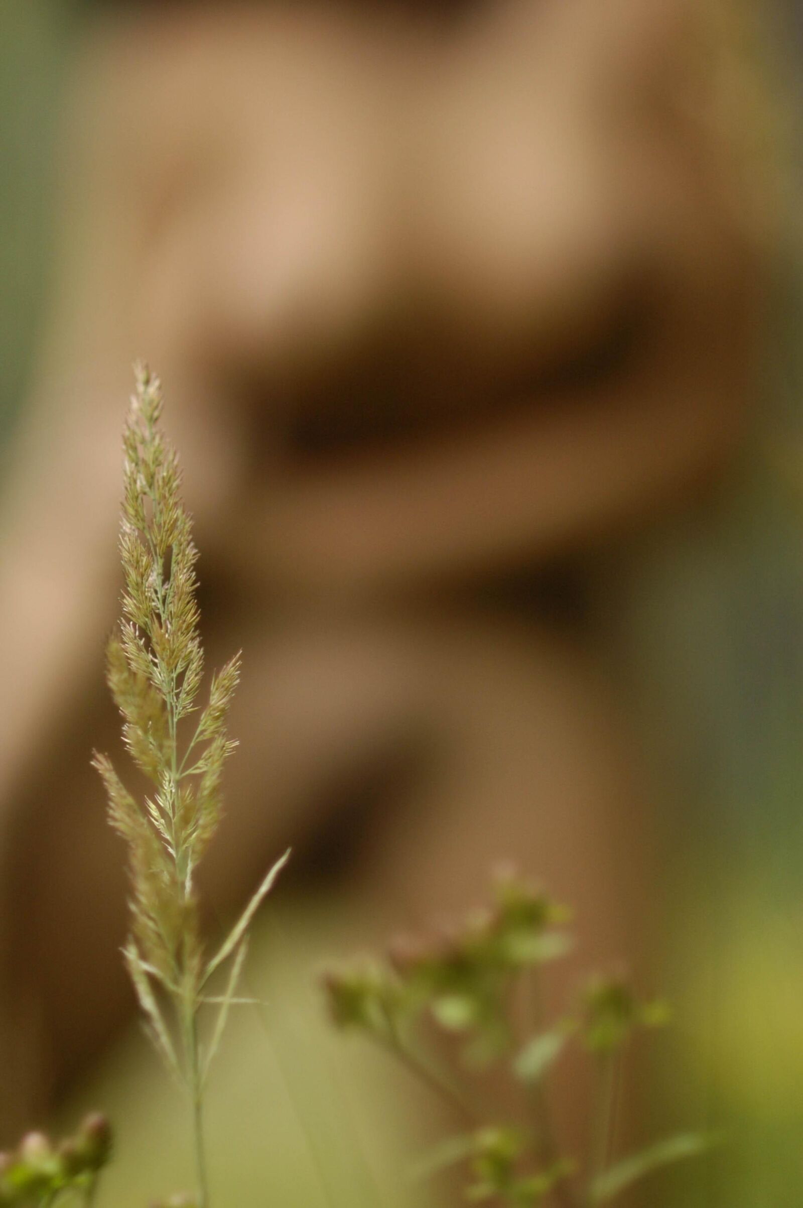 Slastyonoff Gabriela In The woods   ,