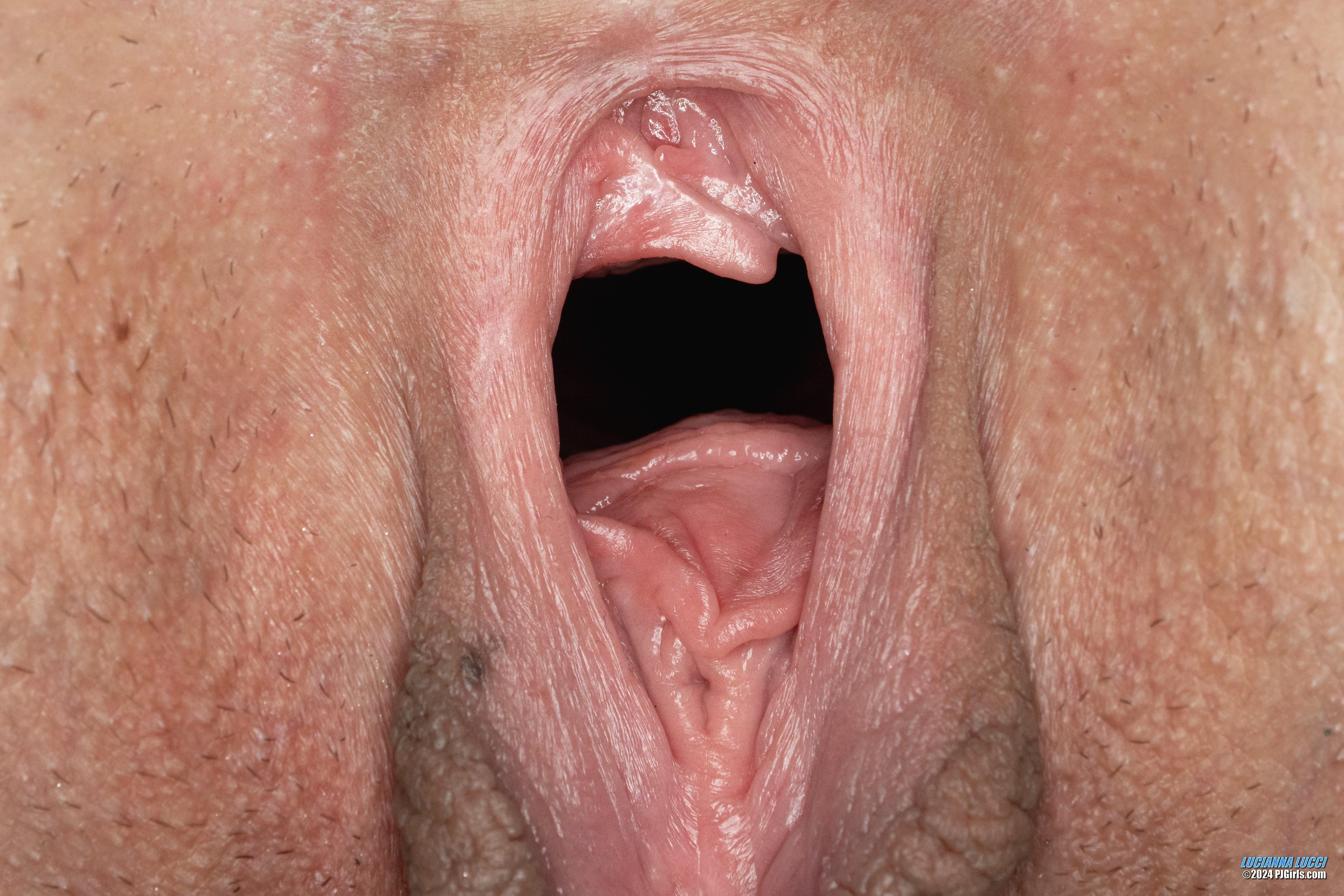 Lucianna Big Pussy Lips