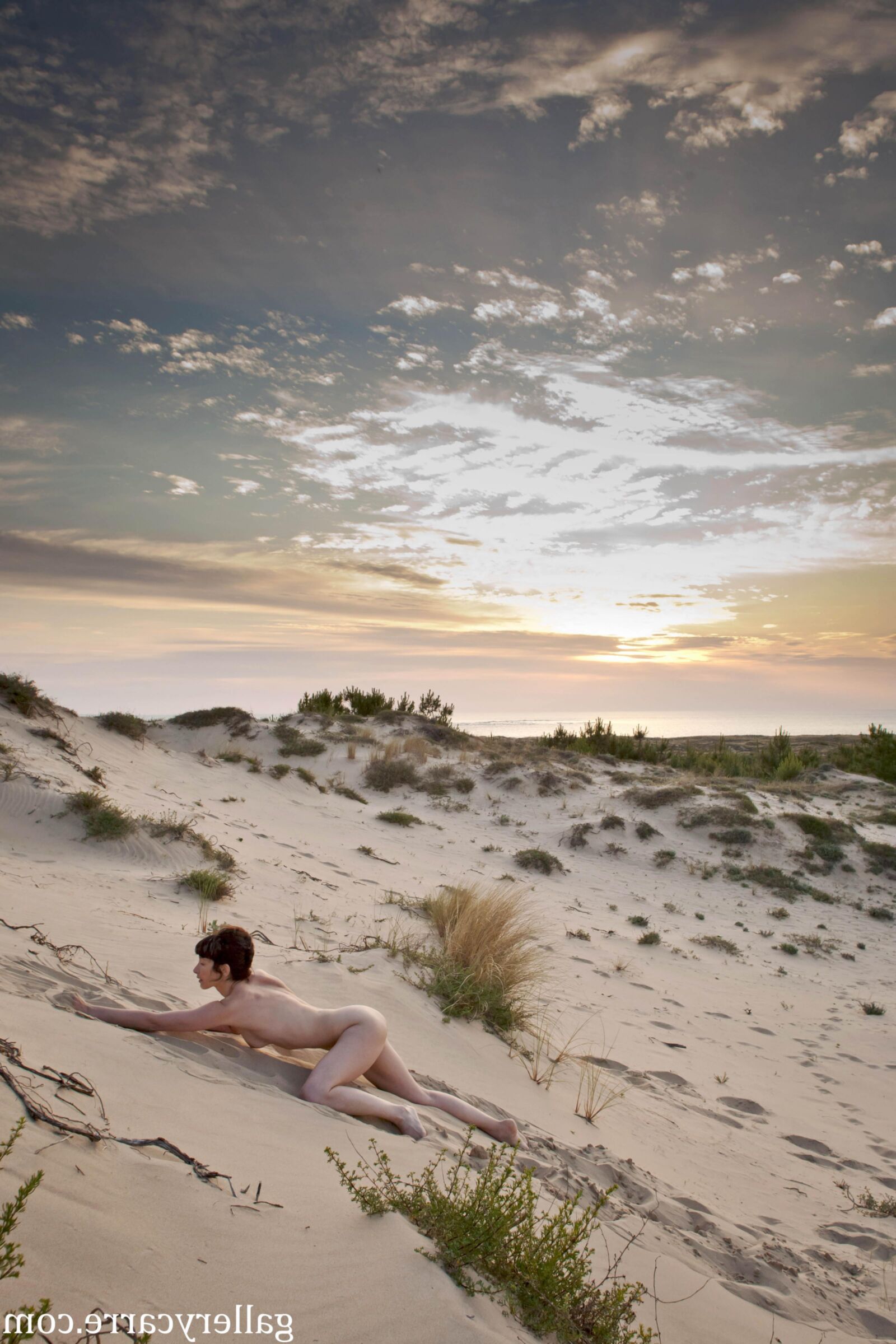 MoreyStudio Carre Diana Dunes