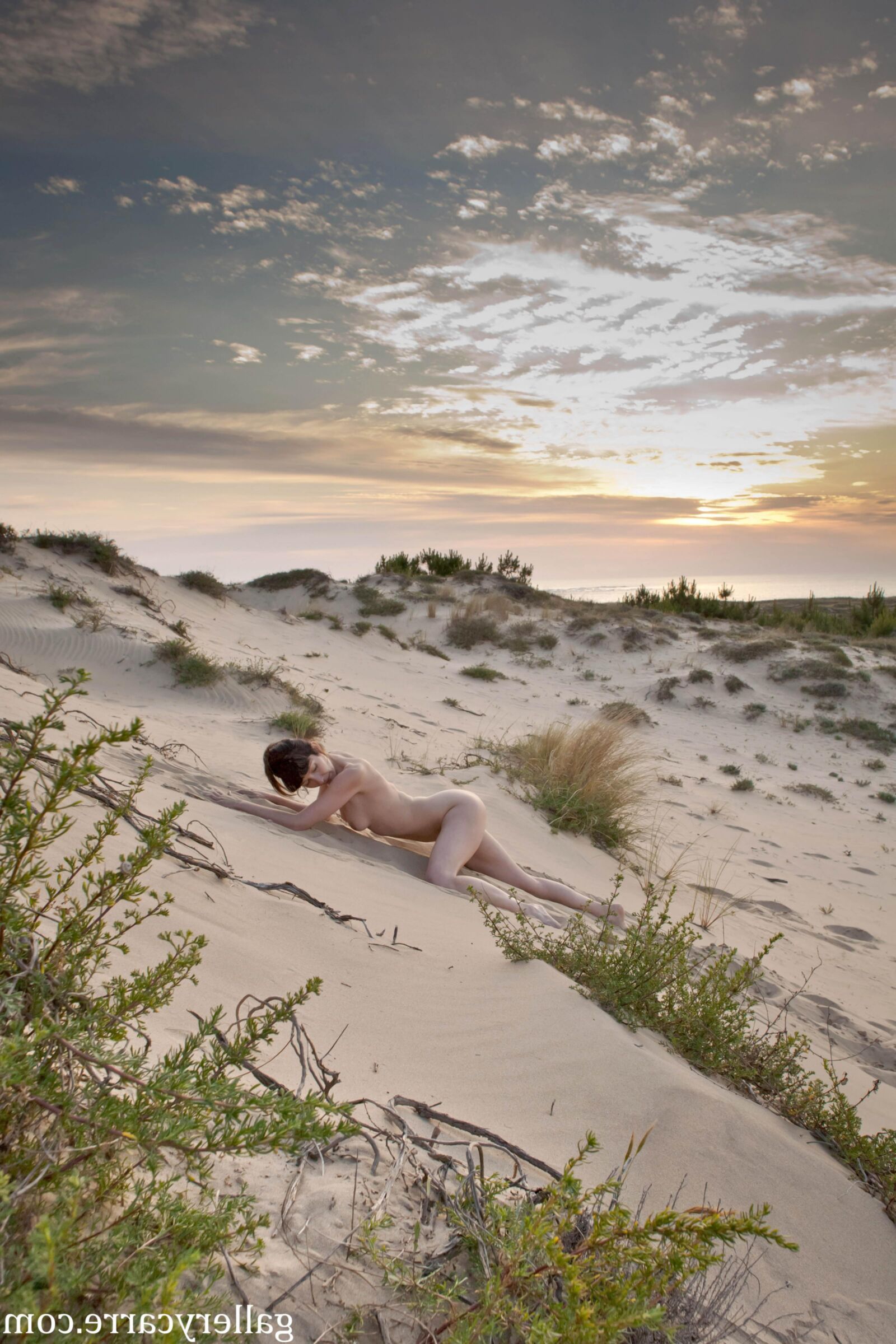 MoreyStudio Carre Diana Dunes