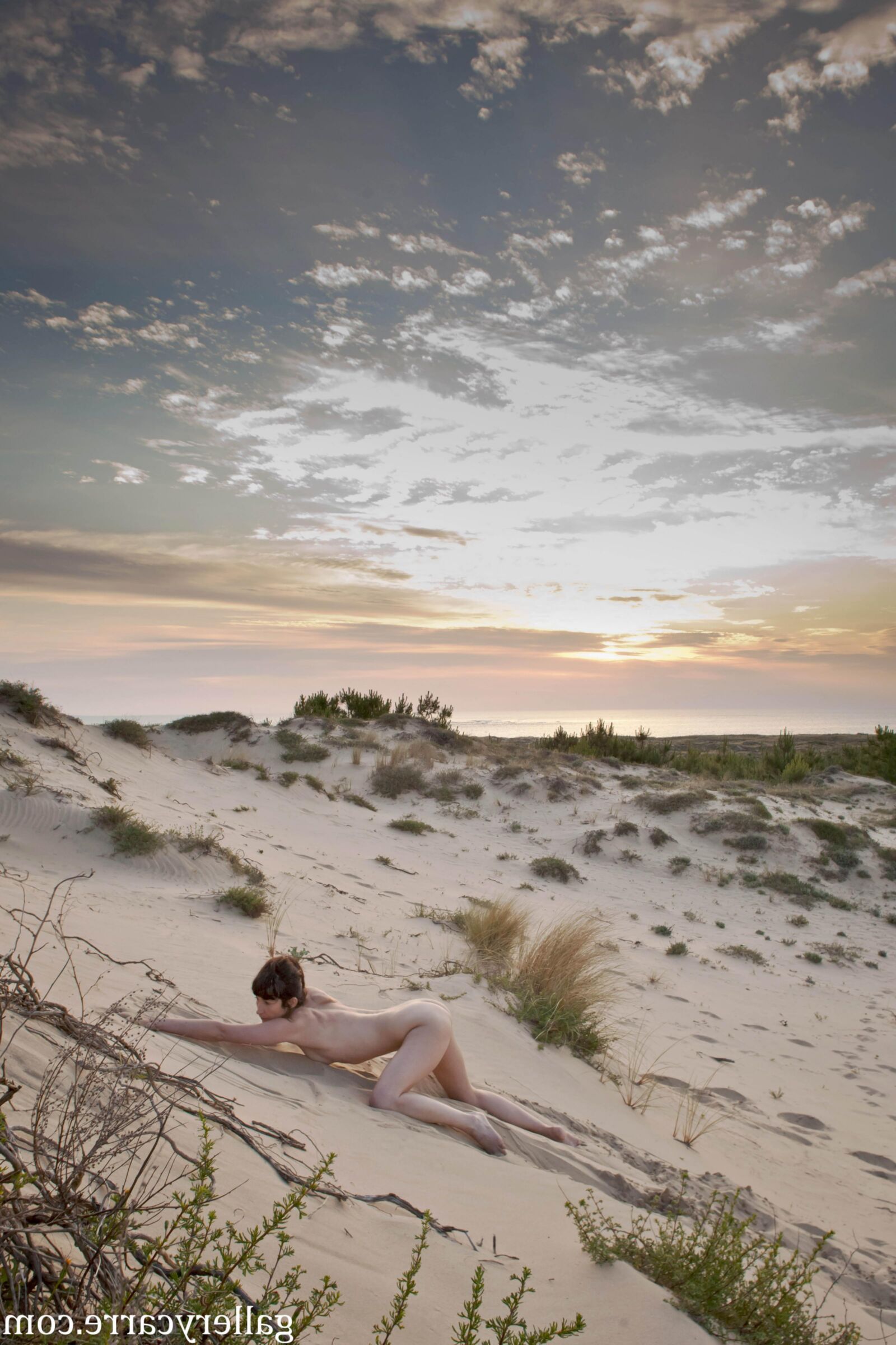 MoreyStudio Carre Diana Dunes