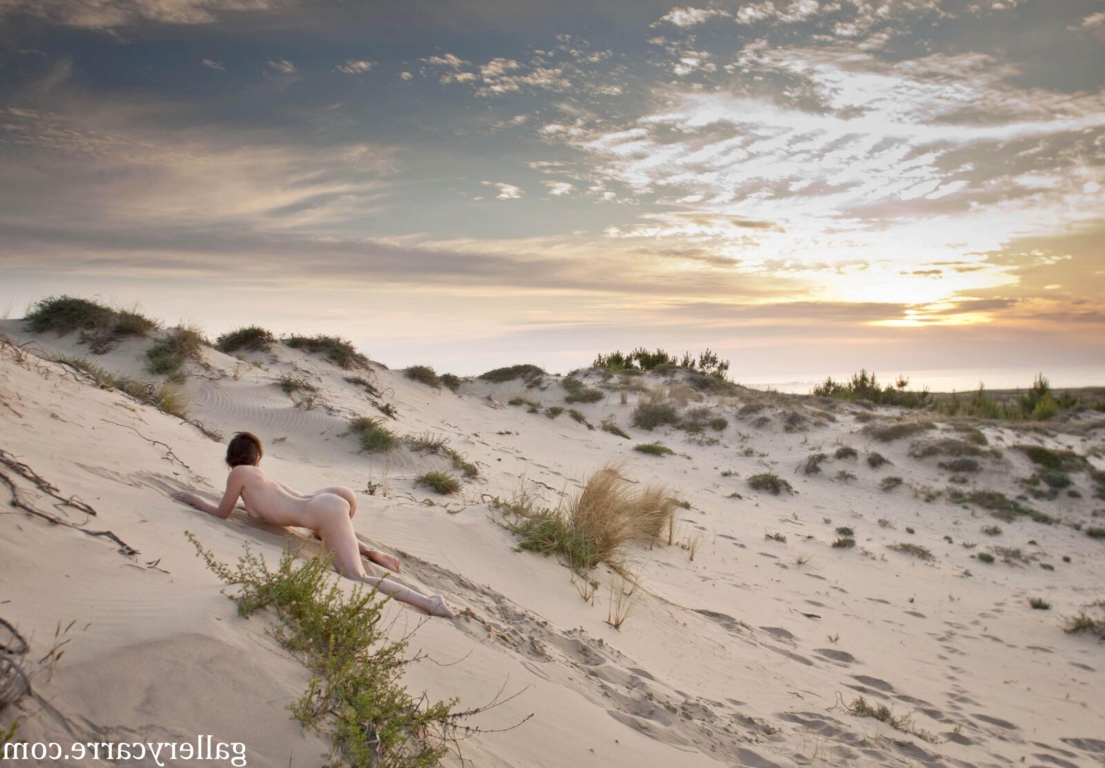 MoreyStudio Carre Diana Dunes