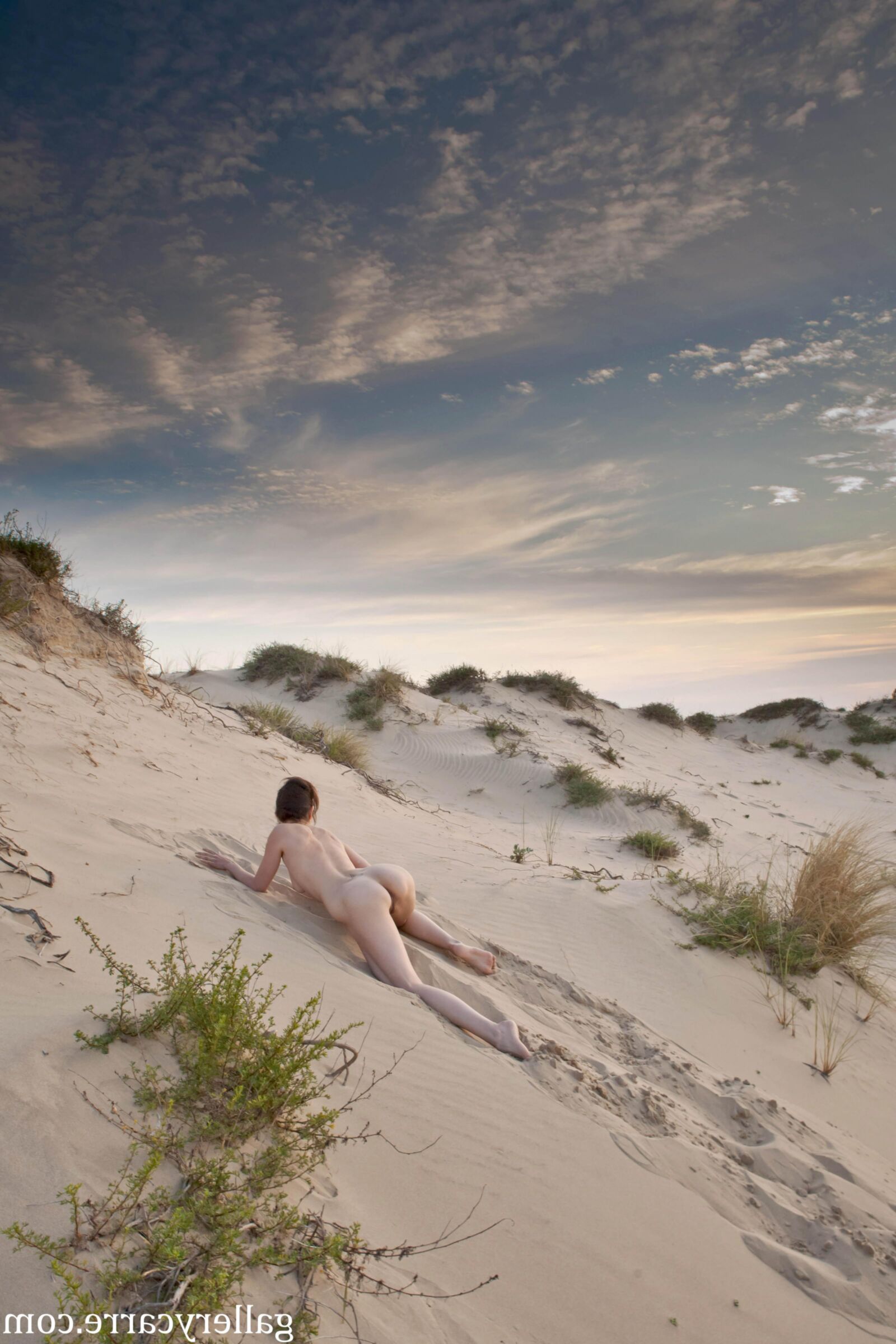 MoreyStudio Carre Diana Dunes
