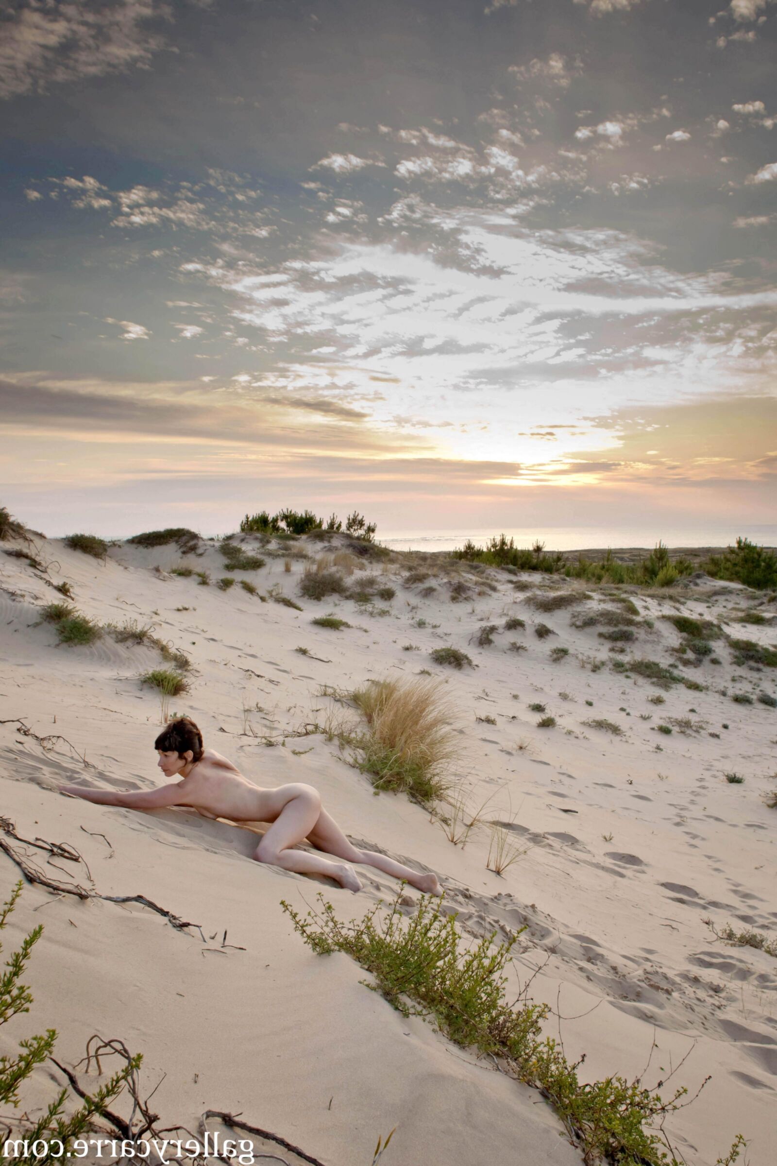 MoreyStudio Carre Diana Dunes