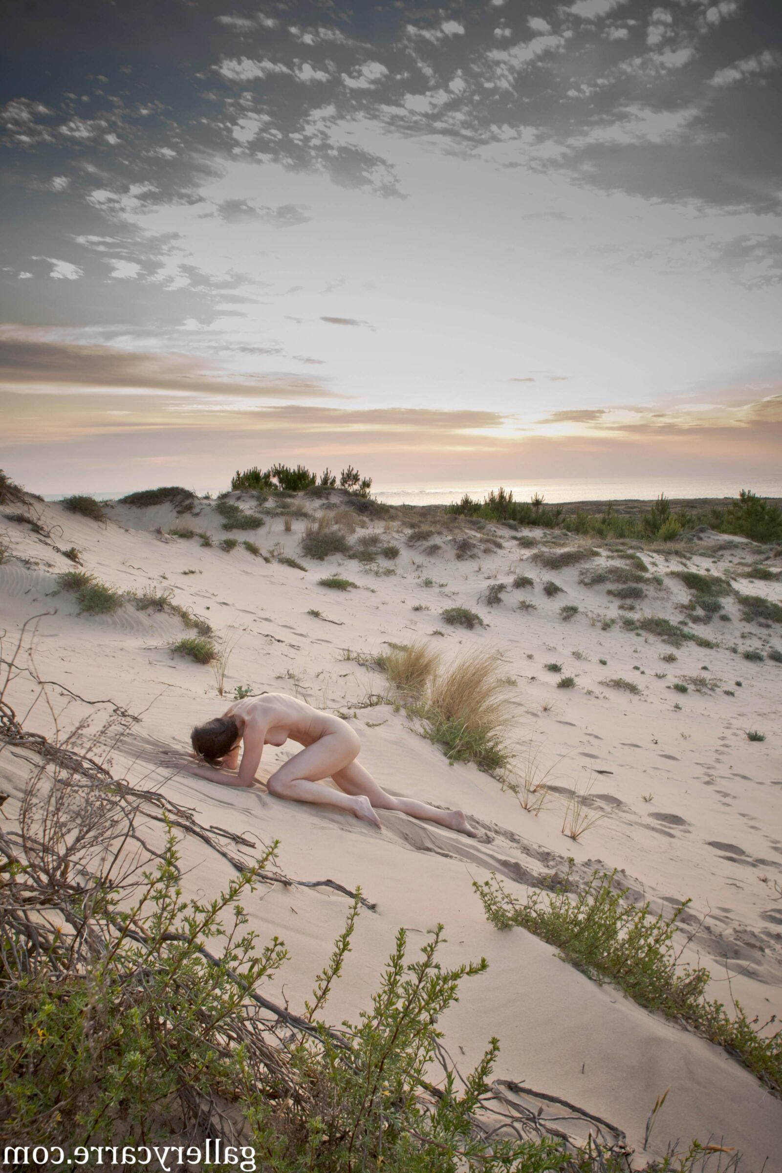 MoreyStudio Carre Diana Dunes