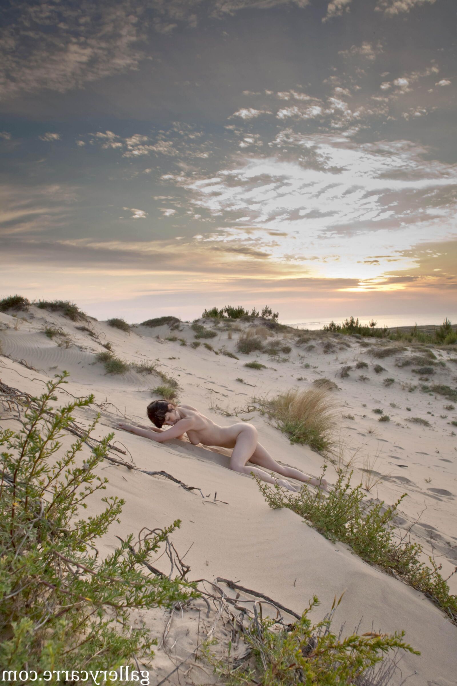 MoreyStudio Carre Diana Dunes