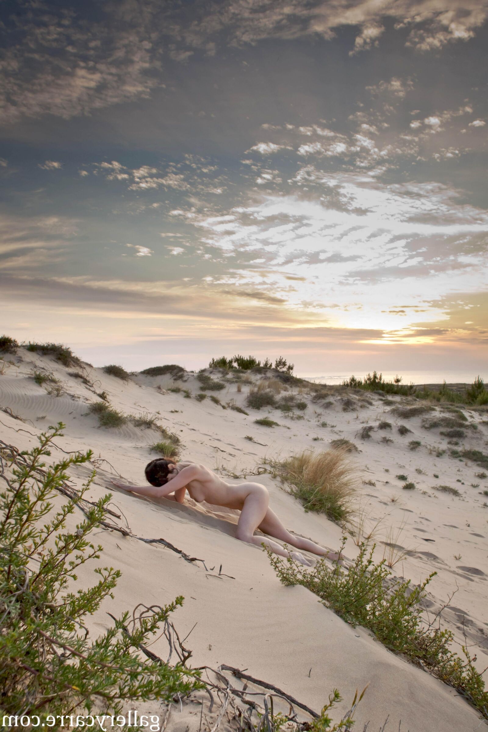 MoreyStudio Carre Diana Dunes