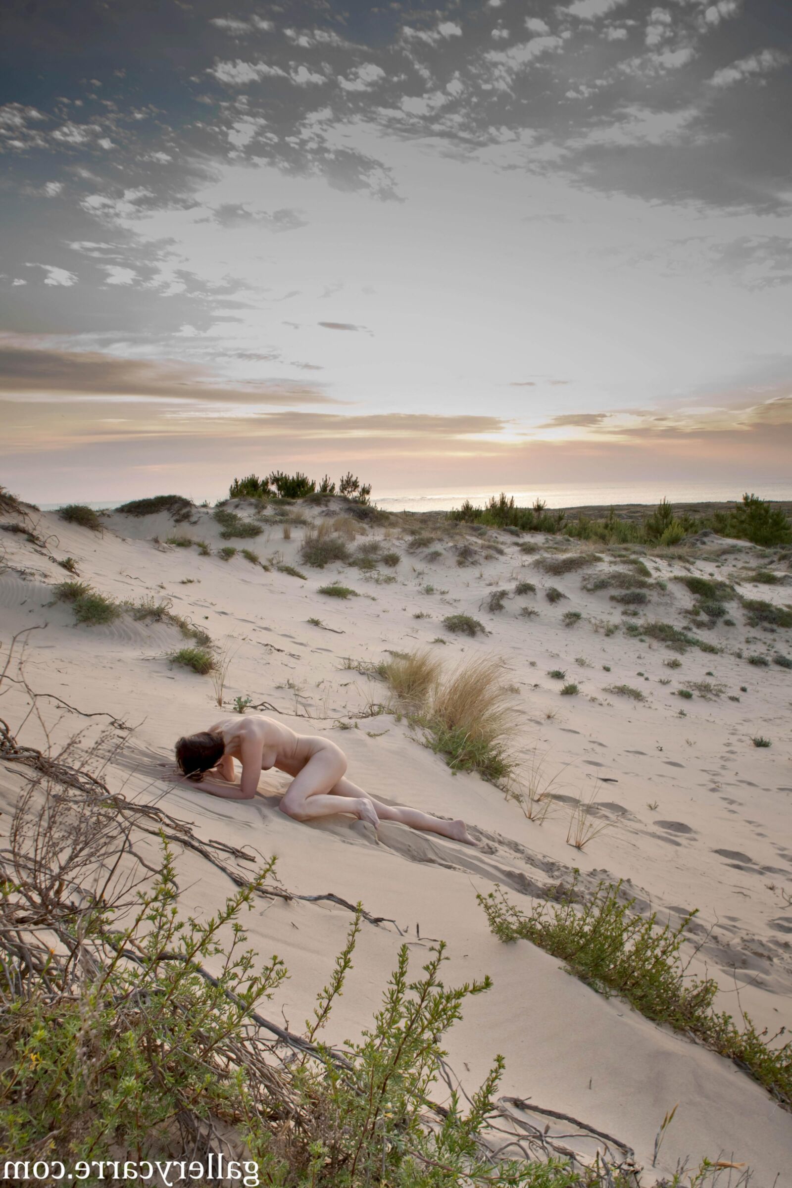 MoreyStudio Carre Diana Dunes