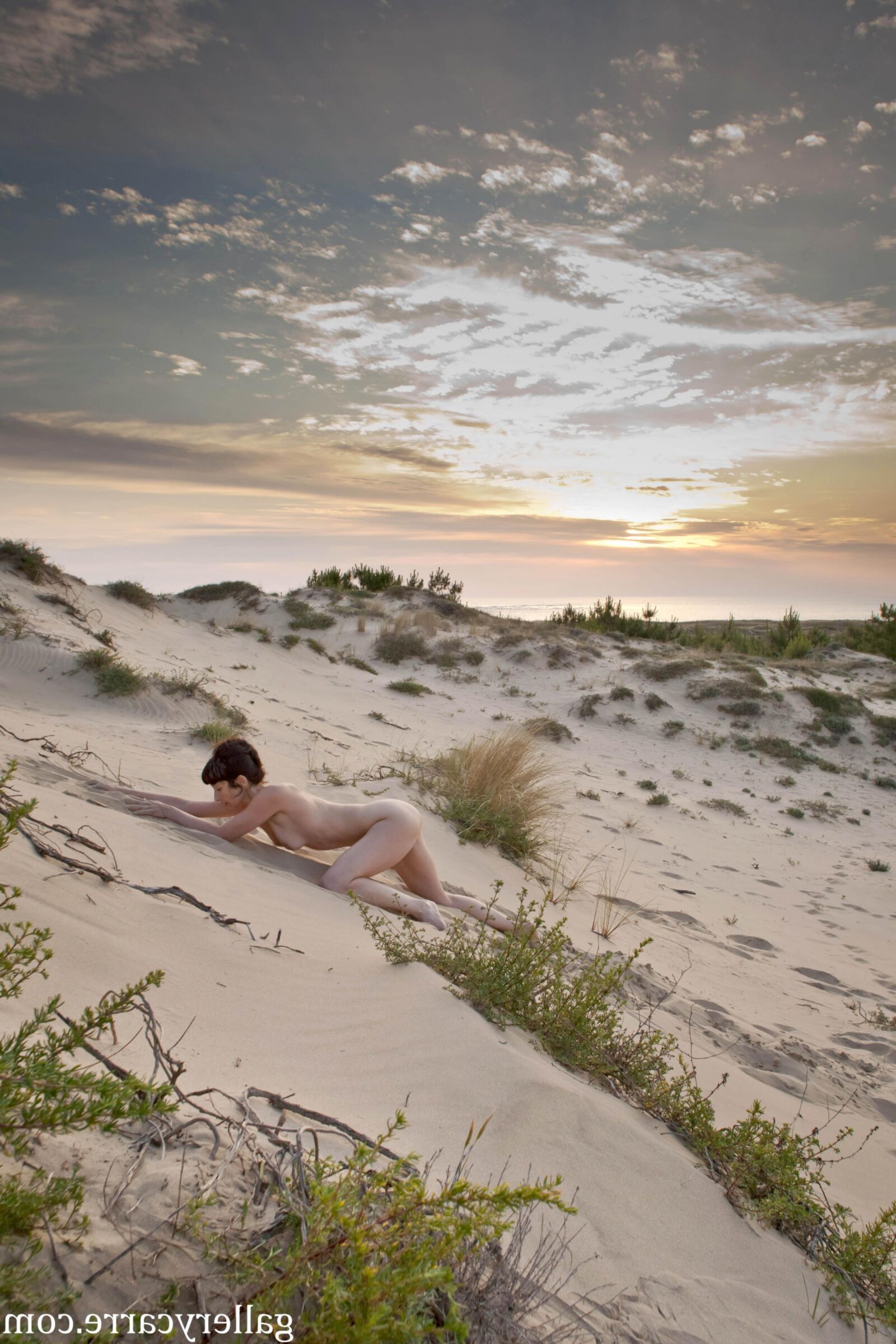 MoreyStudio Carre Diana Dunes
