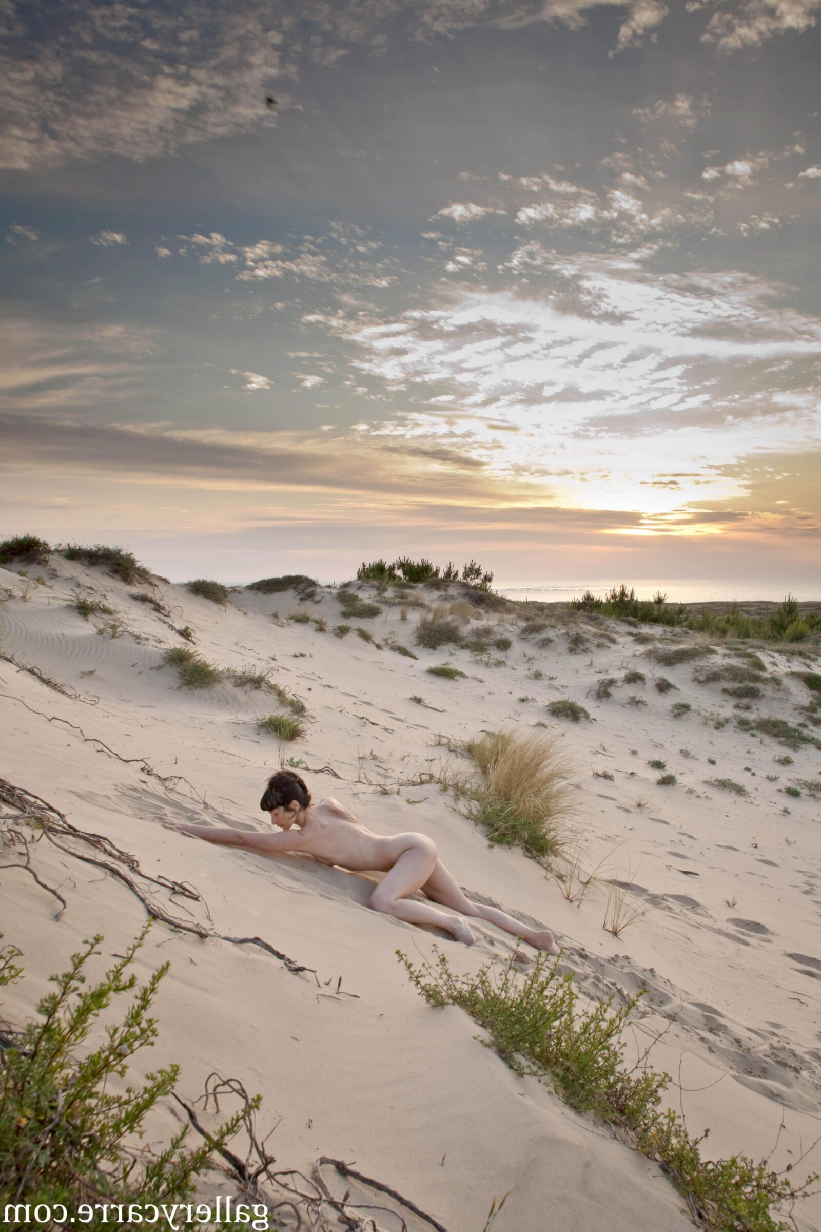 MoreyStudio Carre Diana Dunes